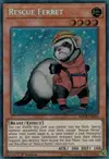 Product image for Rescue Ferret