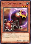 Product image for Self-Destruct Ant