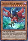Product image for Danger! Thunderbird!