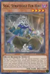 Product image for Seal, Strategist Fur Hire