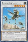 Product image for Desert Locusts