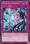 Product image for Destined Rivals