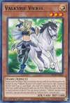Product image for Valkyrie Vierte