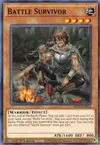 Product image for Battle Survivor
