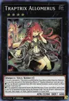 Product image for Allomérus Traptrix