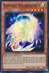 Product image for Radiant Vouirescence