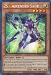 Product image for ZS - Sage Ascensionné
