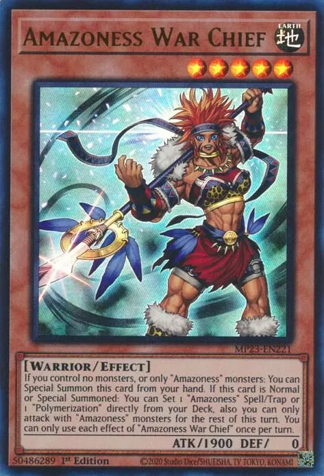 Amazoness War Chief — 25th Anniversary Tin: Dueling Heroes Mega Pack — Yu-Gi-Oh!