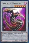 Product image for Dragon Immortel