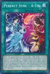 Product image for Perfect Sync - A-Un