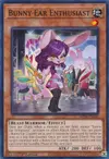Product image for Bunny Ear Enthusiast