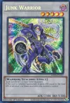 Product image for Junk Warrior