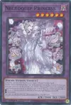 Product image for Princesse Nécroquip