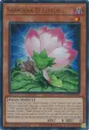Product image for Lotus du D Samsara