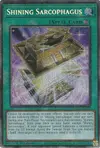 Product image for Sarcophage Brillant