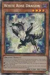 Product image for White Rose Dragon