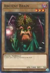 Product image for Ancient Brain