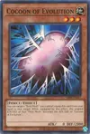 Product image for Cocoon of Evolution