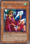 Product image for Princess of Tsurugi