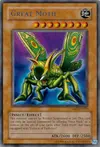 Product image for Great Moth