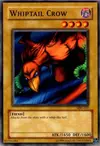 Product image for Whiptail Crow
