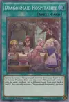 Product image for Dragonmaid Hospitality