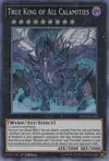 Product image for True King of All Calamities