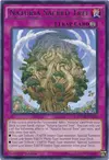 Product image for Naturia Sacred Tree