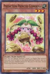 Product image for Prediction Princess Coinorma