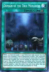Product image for Domain of the True Monarchs