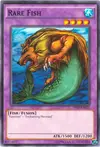Product image for Rare Fish