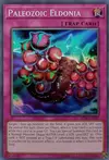 Product image for Paleozoic Eldonia