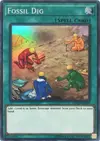Product image for Fossil Dig