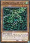 Product image for Fortune Lady Wind