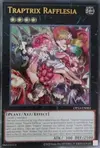Product image for Traptrix Rafflesia