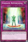 Product image for Reinforce Truth