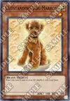 Product image for Chien Marron Exceptionnel