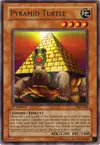 Product image for Pyramid Turtle