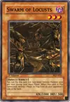 Product image for Swarm of Locusts