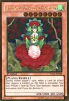 Product image for Tytannial, Princess of Camellias