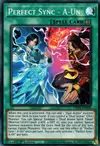 Product image for Perfect Sync - A-Un