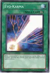 Product image for Evo-Karma