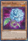 Product image for Brilliant Rose