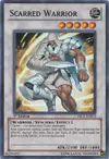 Product image for Scarred Warrior