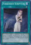 Product image for Forbidden Scripture
