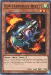 Product image for Bombardment Beetle