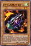 Product image for Bombardment Beetle