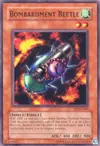 Product image for Bombardment Beetle