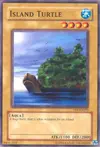 Product image for Island Turtle