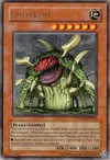 Product image for Gigaplant